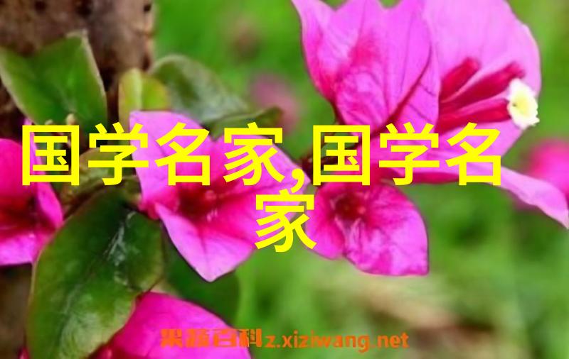 十大伟人改变世界的非凡智慧与勇气