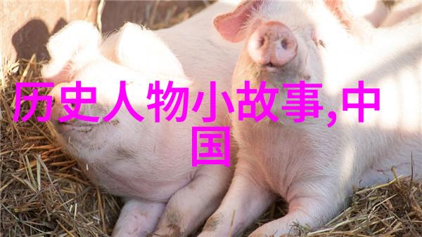 历史人物辉煌录穿越时空的智者与勇士