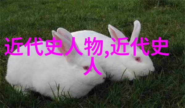体坛英雄中国运动员背后的故事和成就