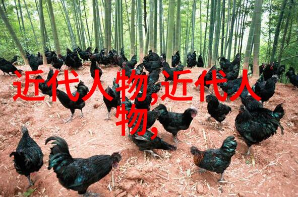 古韵悠长中国古代女性名人的光芒与传奇