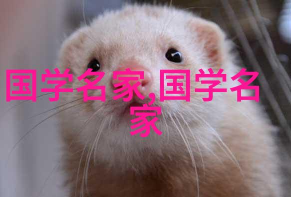 中国书法鉴赏方法论文我来教你如何赏析中国书法的秘诀