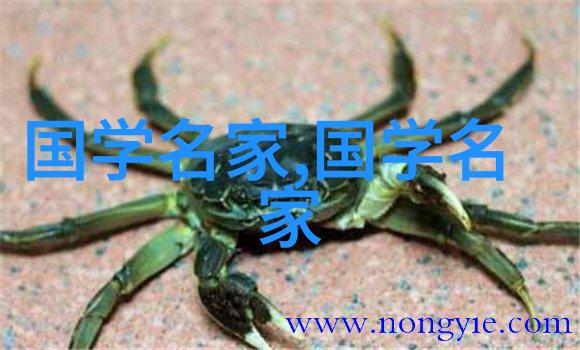 贾谊新书卷40先醒诗解1感情里的无欲则刚反问之下贤主先醒未治知治先寤存亡庄王思贤若渴先醒