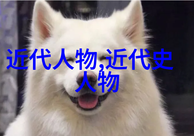 辉煌帝国的崛起与陨落一位帝王的心路历程