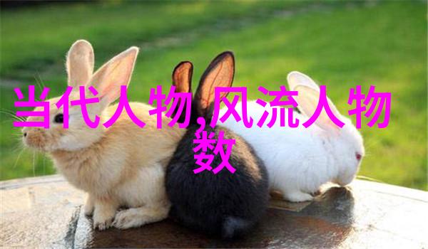经典诗词鉴赏 - 探索古韵之美红楼梦中的诗词艺术