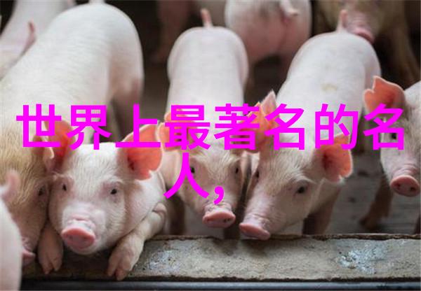 中国历代人物简史从三国群雄到清朝盛世的传奇走访