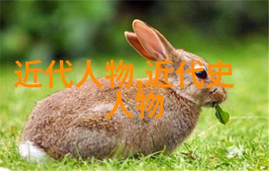 梳理千秋中国历史人物探索与评述
