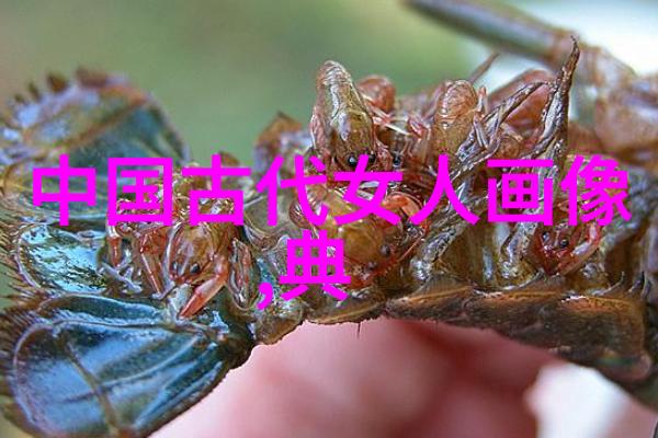爱情与数学伽利略伽利莱的秘密生活
