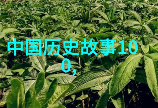 中国名人传奇龙的传人与诗人的梦