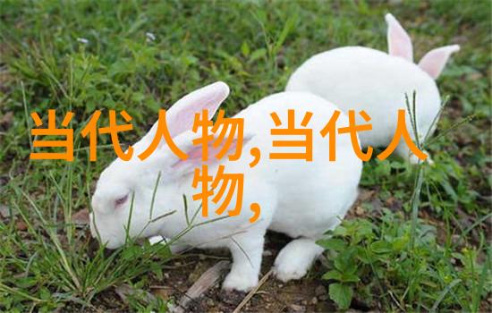 郑成功保国卫土的民族英雄台湾开埔之父