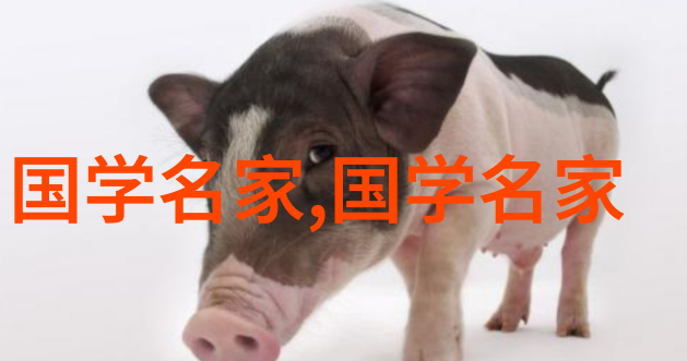 从线条到色彩揭秘古风汉服100种画法的艺术魅力