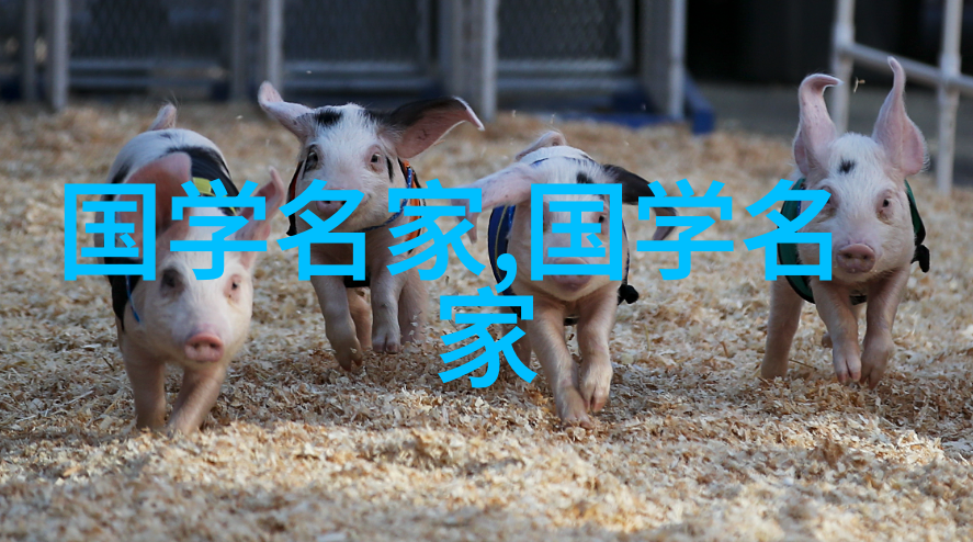 历史上颜值最高的美人古今传世魅力探秘