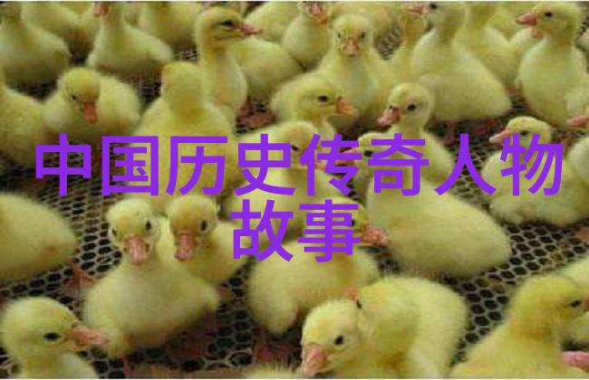 历史上的奇迹与灾难从亚历山大大帝到黑死病的兴衰变迁