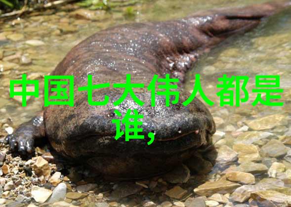探索国学古籍的智慧与魅力名家经典引领文化传承