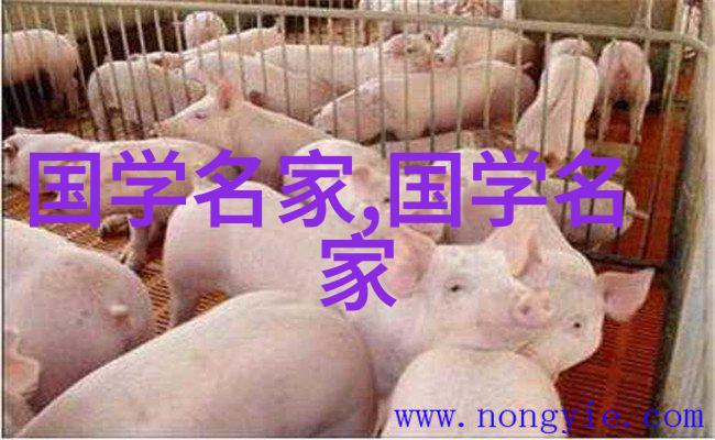 全球第一美女镜中花水中月梦中的她