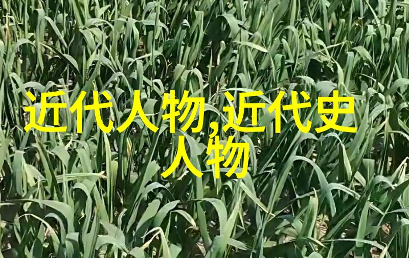 醉琼枝狂上加狂音乐节的无尽狂欢