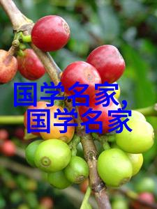 梵高的孤独之舞