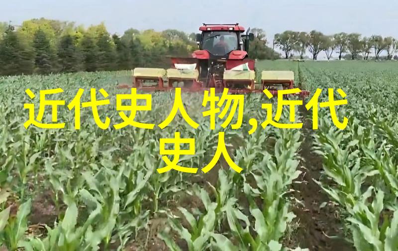 绚烂往昔中国历史上四大美女的传说与魅力