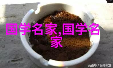 名将战略家拿破仑波拿巴征服欧洲篇章