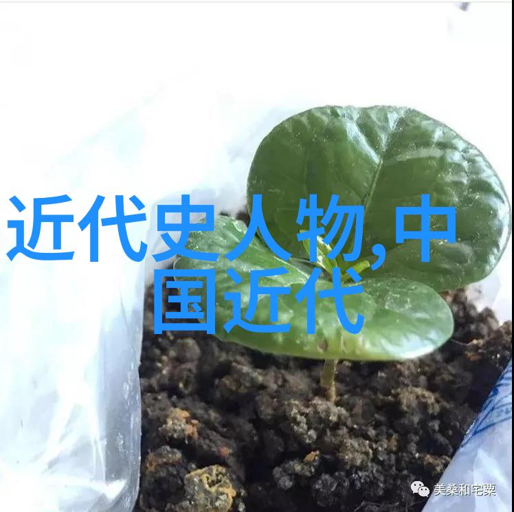 古代人真实画像 - 揭秘画卷如何捕捉古代人的真实面貌