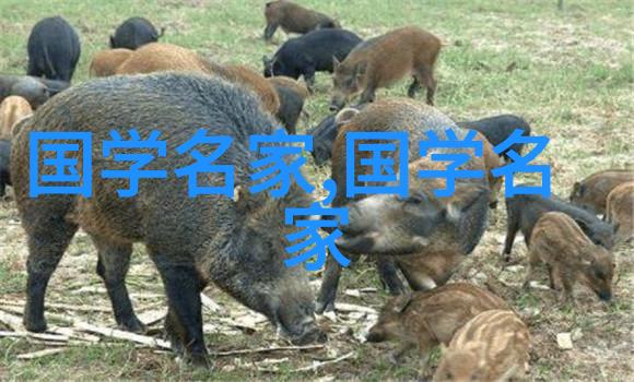 中国历史最重要人物排名龙的传人与凤的嫣然