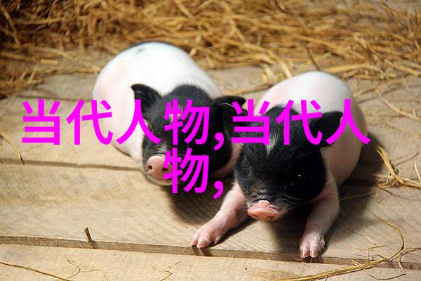 古今传奇穿越时空的智者与勇士
