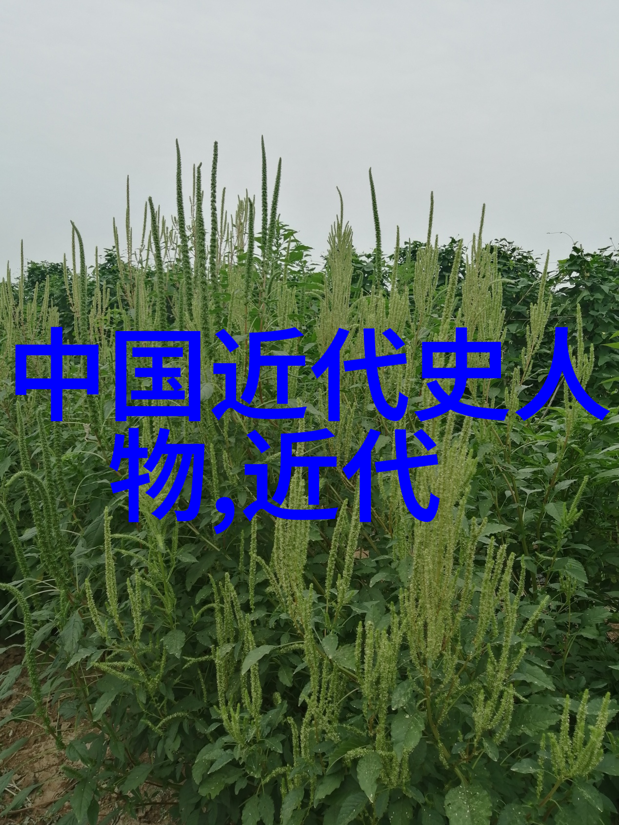 曹操统一三国的策略是什么