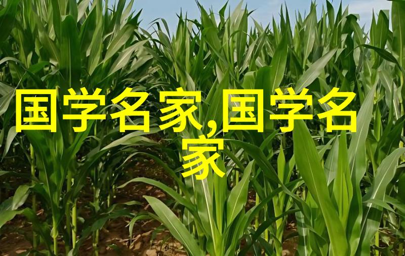 客家人的顺口溜说得真好你晓讲么古厝里的文化特色让人回味无穷