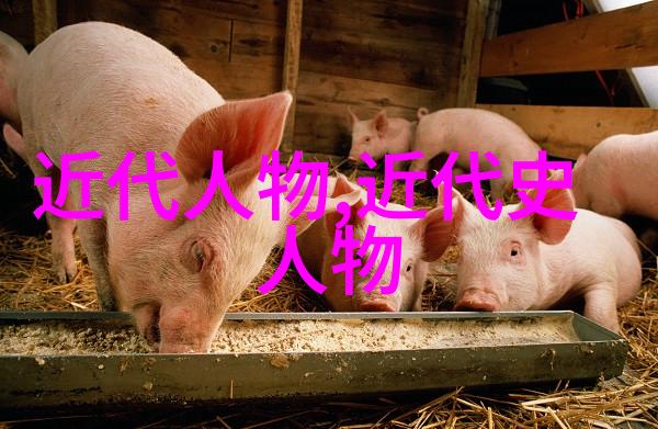 人物传记-十大伟人改变世界的卓越灵魂