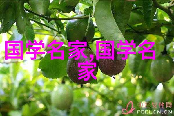 探索BB世界30种独特形态的奇迹