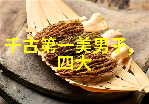 勇士与哲人评选最具影响力的军事与思想家