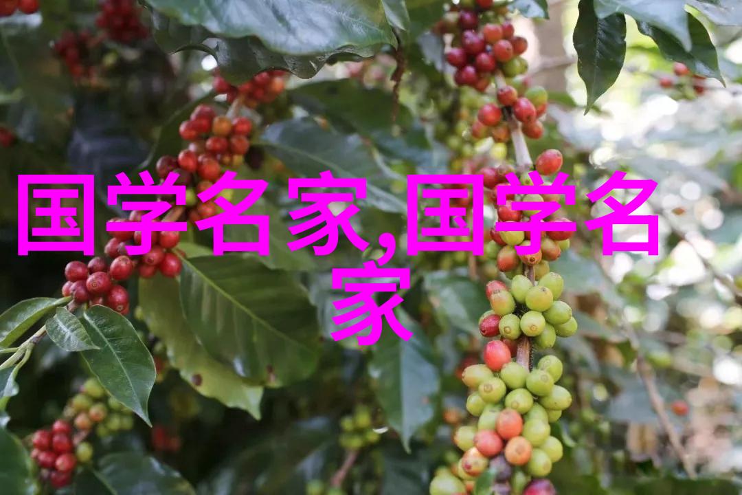 以真情实感为基调兼具多种导表演手段的融合