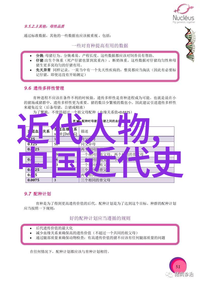 清波引h一只繁旅-碧波轻摇引航探寻古代航海者的智慧