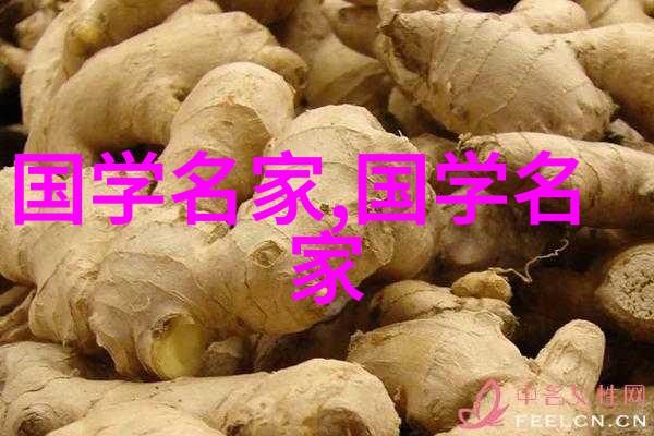 蜜桃日本免费MV精彩回顾