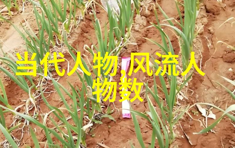 错点鸳鸯戏点鸳鸯一段关于爱与误解的幽默故事