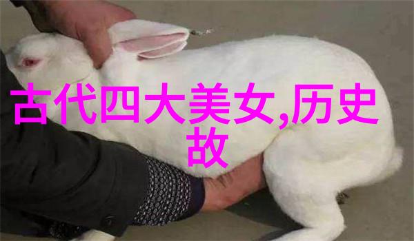 时光的画布历史巨星的轮回
