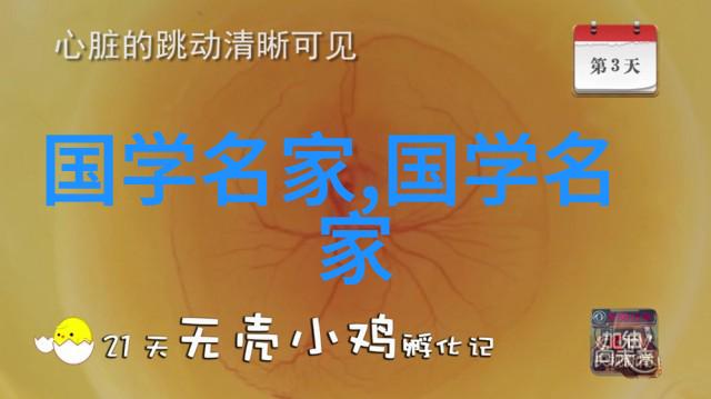 让我们深入探究当代政治领袖的心理战术成功秘诀是什么
