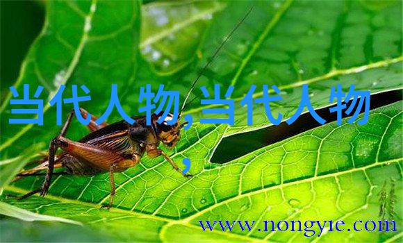 我来讲述王维的诗词特点咀嚼古代山水画卷