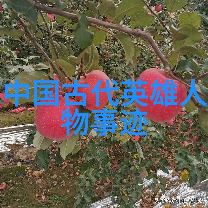 历史故事大全100篇300字我眼中的千年长河100个精彩史迹的探秘