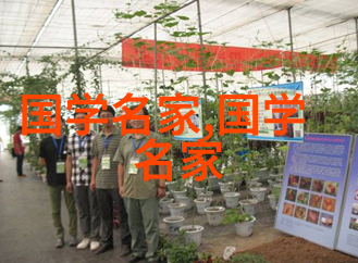 中国历史上十大杰出人物我看中的那些改变中国的巨人