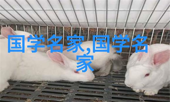 华夏民族精神的象征周武王姬发是怎样统一六国的