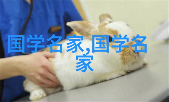 古人智慧孔子与颜回的故事