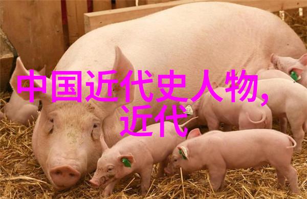 古代伟大的历史人物我来讲你听秦始皇万世一言的开国之王