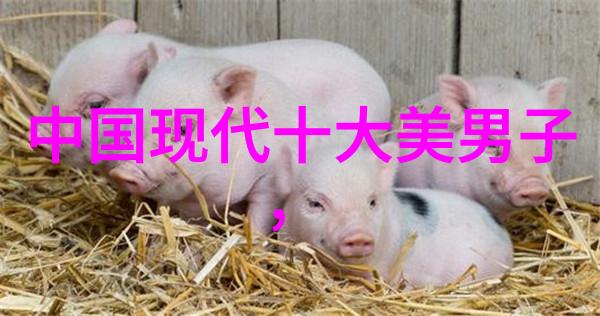 古希腊悲剧家的神话创造力与人性的深度探究