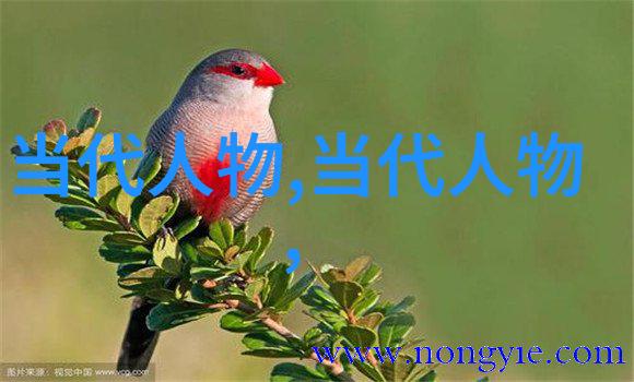 罗莎卢克斯德国马克思主义哲学家与经济学家
