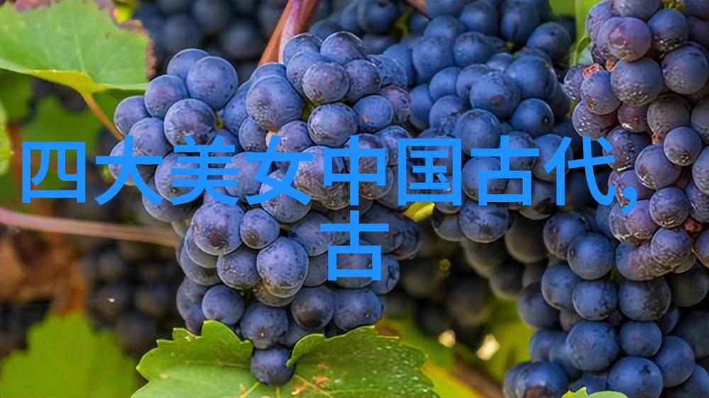 古今荷花玉颜羞秀色掩隐何时