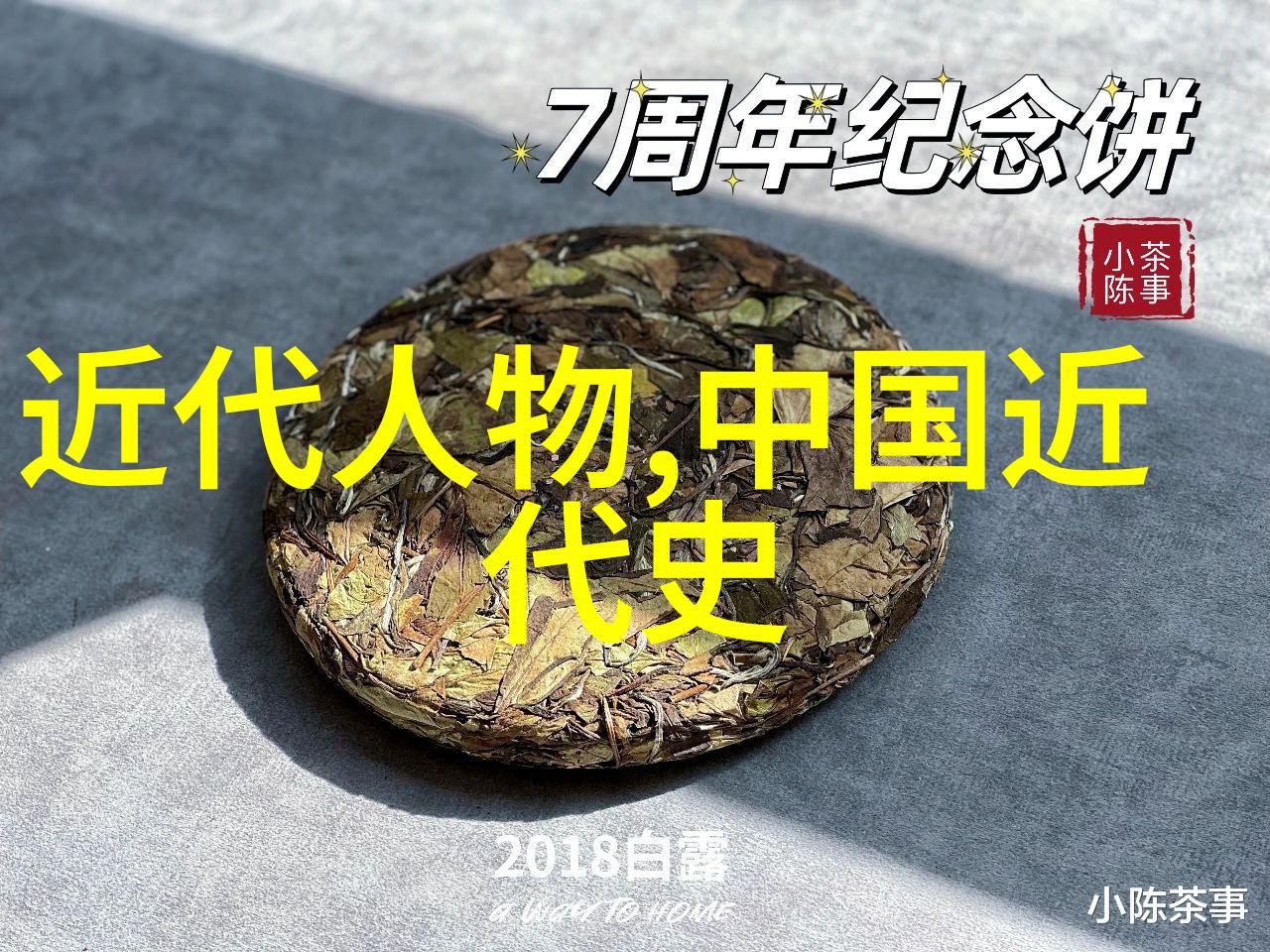 中国历史巨匠诸葛亮的智谋与魅力