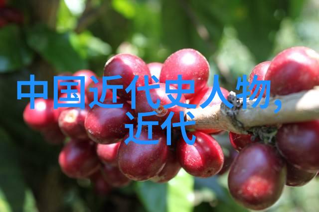 儒林传奇从孔孟到清风