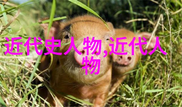 道德经第一章感悟我是如何从天地不仁以万物为刍狗这句话中领悟到生活的哲理