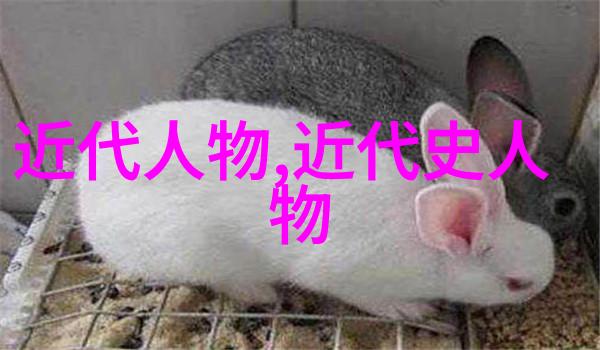 三国时期诸葛亮智谋三国时期的杰出军事与政治家诸葛亮