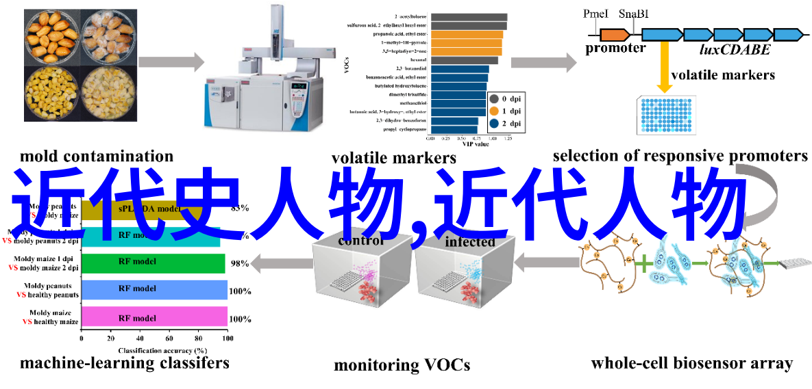 中国古代科学家的光芒苏轼及其科技贡献解读